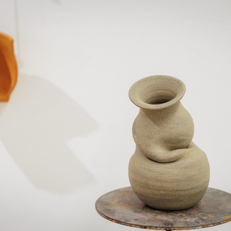 Exposició Matèria Viva